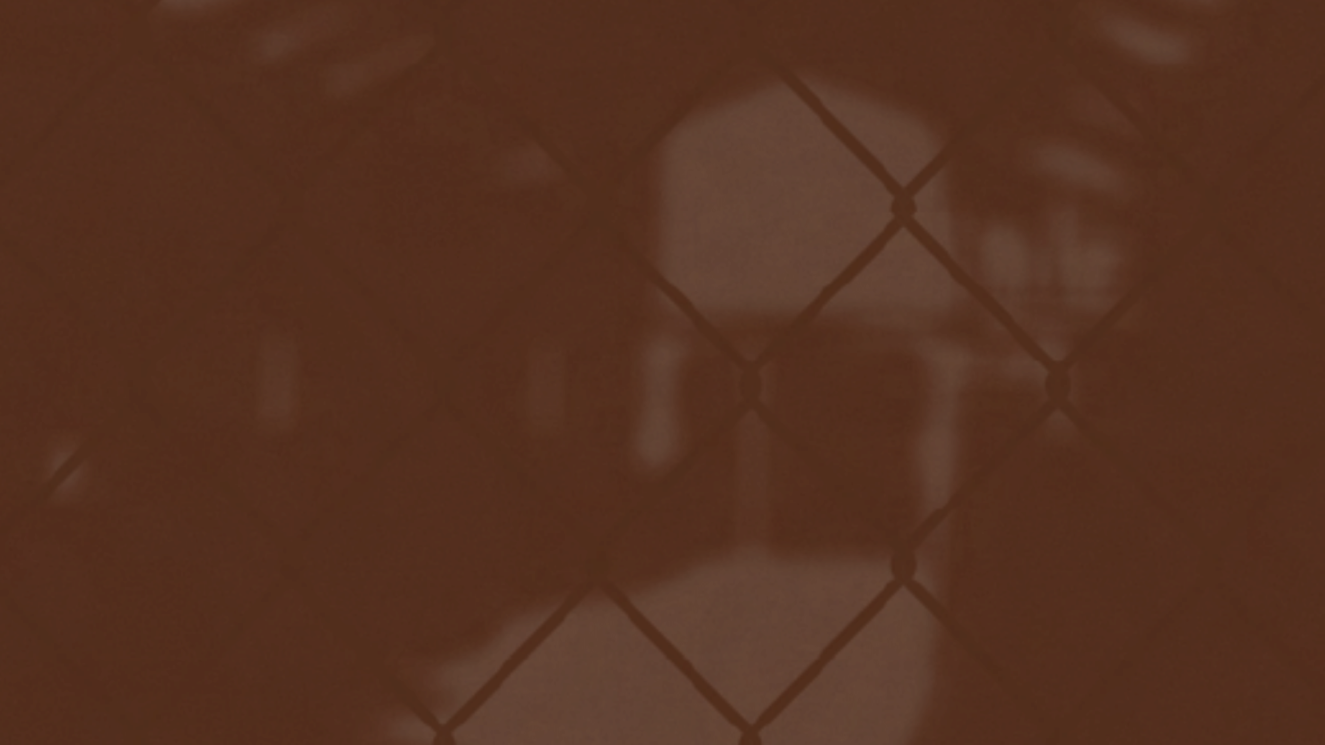 Prisilna mobilizacija